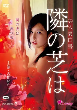 电影《警察故事》海报